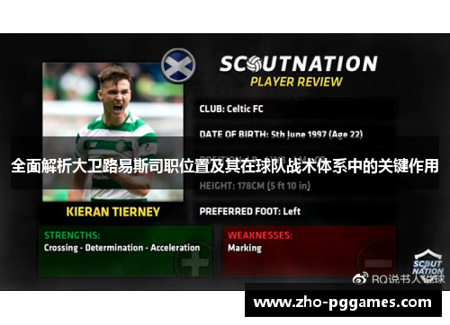 全面解析大卫路易斯司职位置及其在球队战术体系中的关键作用