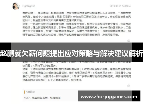 赵鹏就欠薪问题提出应对策略与解决建议解析