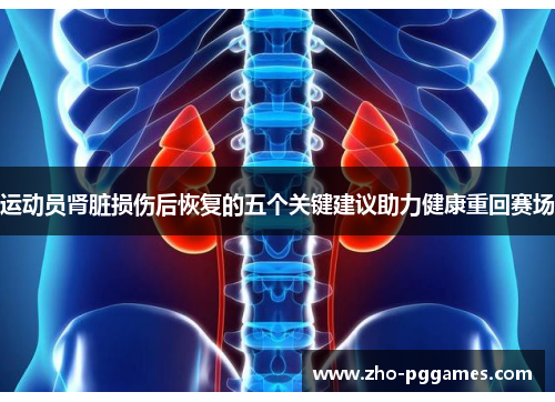 运动员肾脏损伤后恢复的五个关键建议助力健康重回赛场